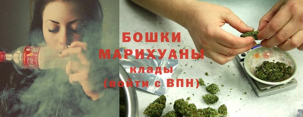 PSILOCYBIN Белокуриха