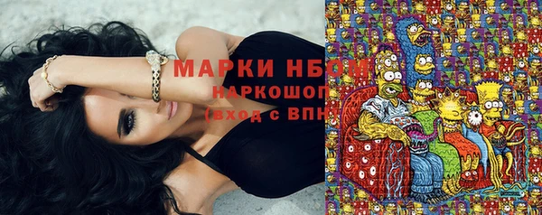 PSILOCYBIN Белокуриха