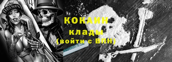 PSILOCYBIN Белокуриха