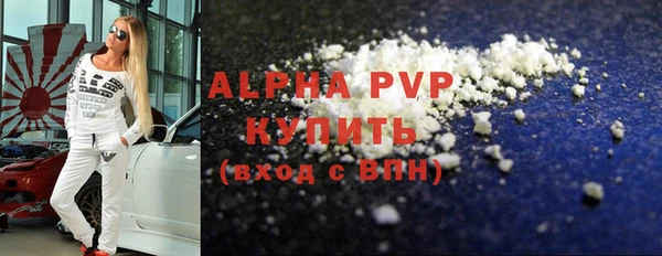 PSILOCYBIN Белокуриха