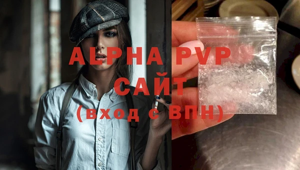 PSILOCYBIN Белокуриха