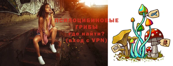 PSILOCYBIN Белокуриха