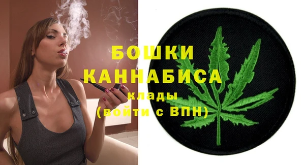 PSILOCYBIN Белокуриха