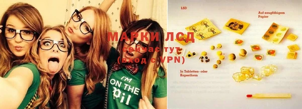 PSILOCYBIN Белокуриха