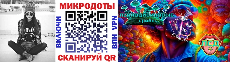 Галлюциногенные грибы Psilocybine cubensis Няндома